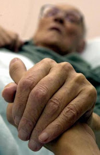 hospice hands